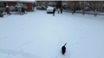 resIMG_20250121_123041_dji_fly_20250121_123042_12_1737484348926_photo_optimized.jpg